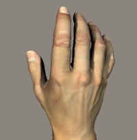 handtop.jpg (50535 bytes)