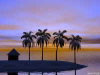 4palms640.jpg (42594 bytes)